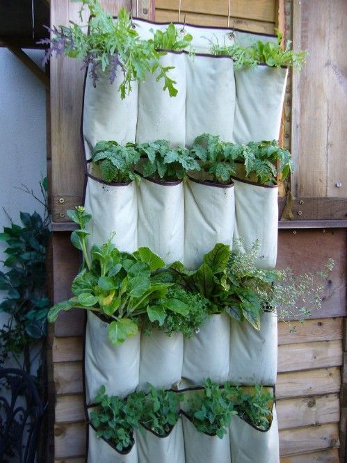 12 AD-Creative-DIY-Vertical-Gardens-For-Your-Home-17