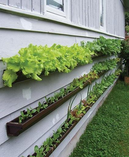 7 AD-Creative-DIY-Vertical-Gardens-For-Your-Home-12