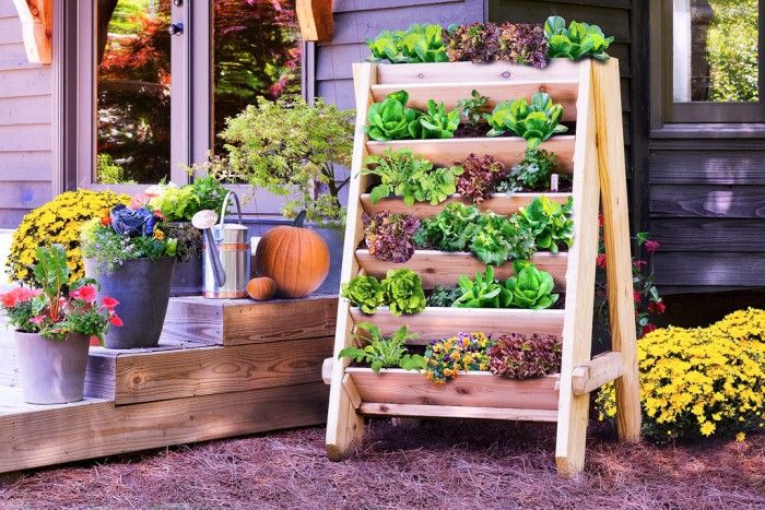 9 AD-Creative-DIY-Vertical-Gardens-For-Your-Home-15