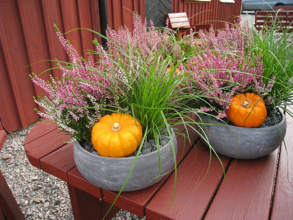 autumn-arrangement-209346_1280