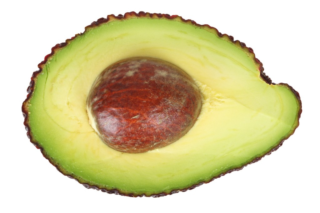 avocado-16041_1280