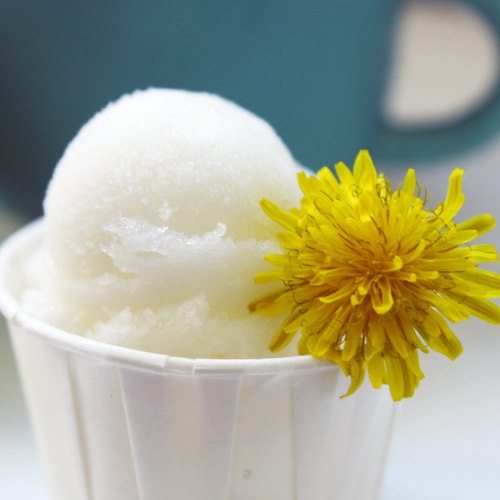 dandelion-flower-sorbet6