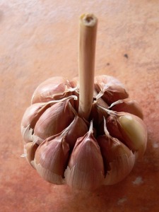 garlic-14922_640