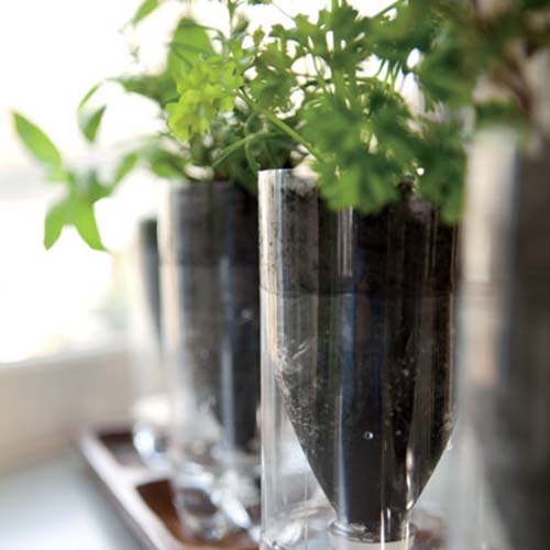 self-watering-herb-planters