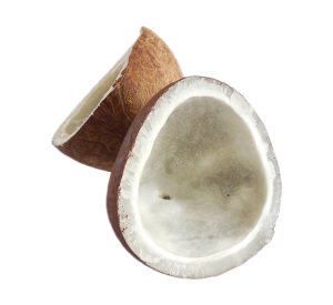 stockvault-dry-coconut157730