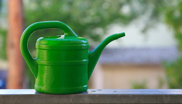 watering-can-1379721_640